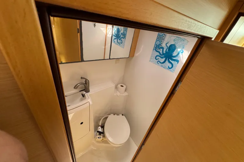 Willow Yacht Photos Pics Compact bathroom in a 2008 Lagoon 420 yacht, featuring a toilet and octopus artwork.