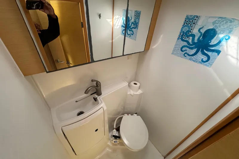 Willow Yacht Photos Pics Compact bathroom in 2008 Lagoon 420 yacht with octopus wall art.