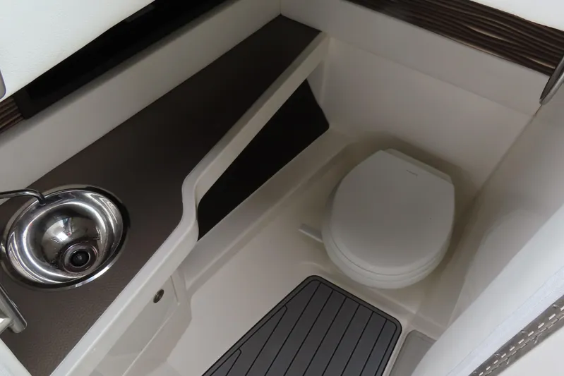  Yacht Photos Pics 2021 Sea Ray 310 SLX boat interior with sink and toilet.