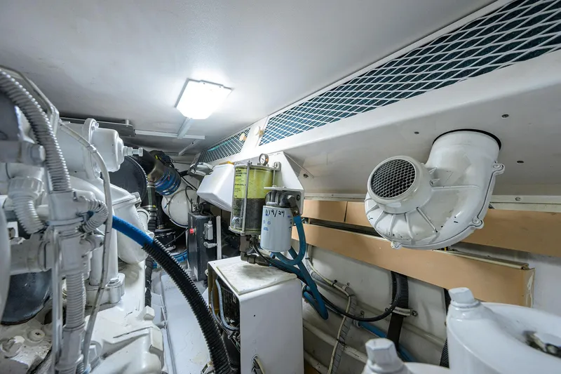 Alli-gator Yacht Photos Pics 