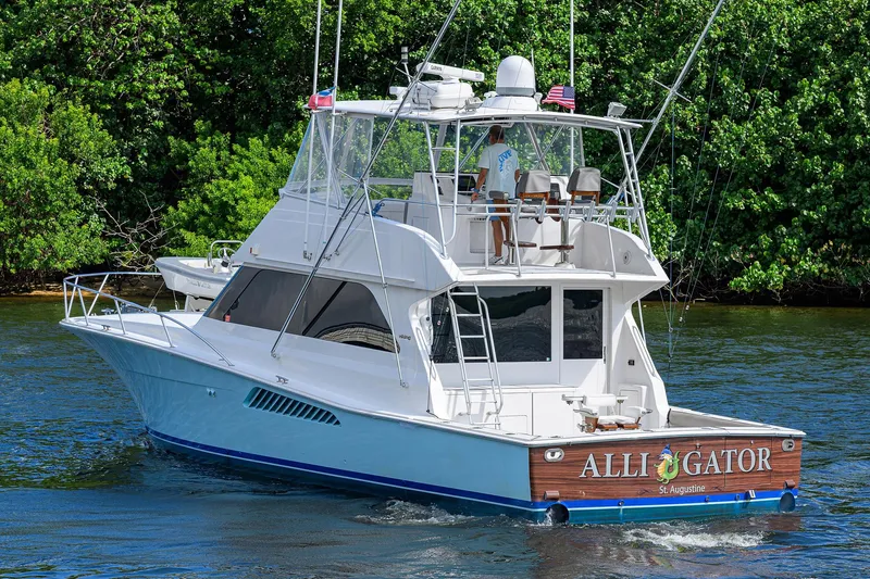 Alli-gator Yacht Photos Pics 