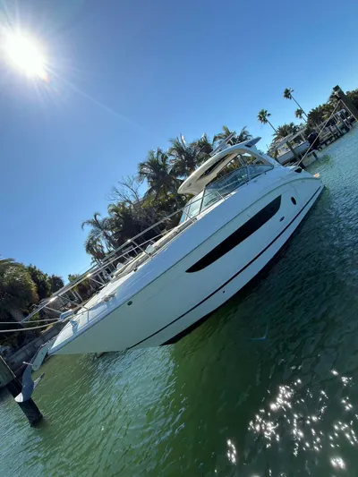 I'll Have Another Yacht Photos Pics 2016 Sea Ray Sundancer 350 yacht in sunny harbor.