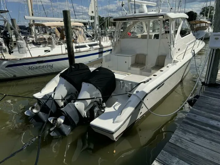  Yacht Photos Pics 2018 Pursuit Os 355 Offshore - Image 11