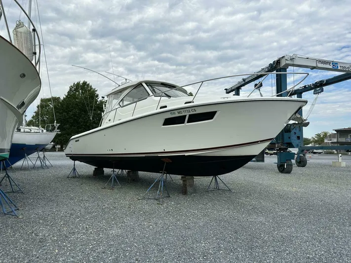  Yacht Photos Pics 2018 Pursuit Os 355 Offshore - Image 89