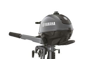 2023 Yamaha buitenboordmotor F2.5