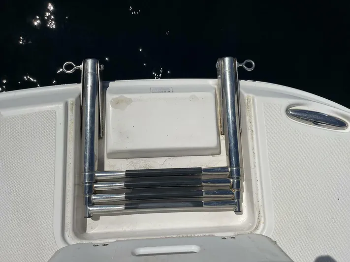  Yacht Photos Pics Stainless steel swim ladder on a 2007 Rinker 350 Express Cruiser boat.