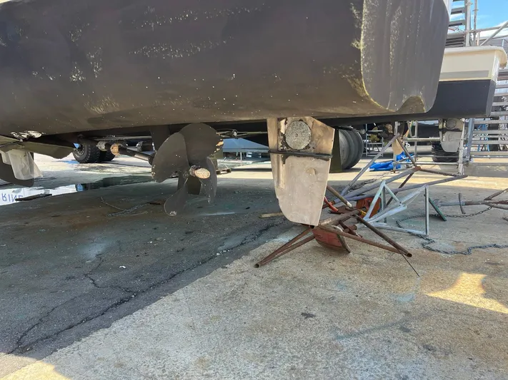 Frida Cat Yacht Photos Pics 2018 Leopard Power Cat Props