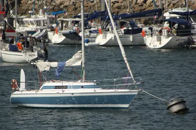 1980 Custom Challenger Europe