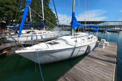 CAL 31