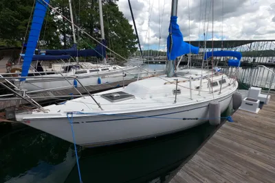 CAL 31