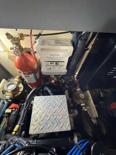 Summer State Yacht Photos Pics 