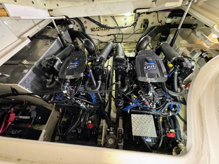 Summer State Yacht Photos Pics 