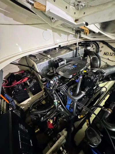 Summer State Yacht Photos Pics 