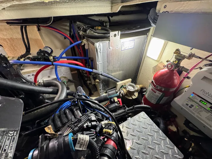 Summer State Yacht Photos Pics 