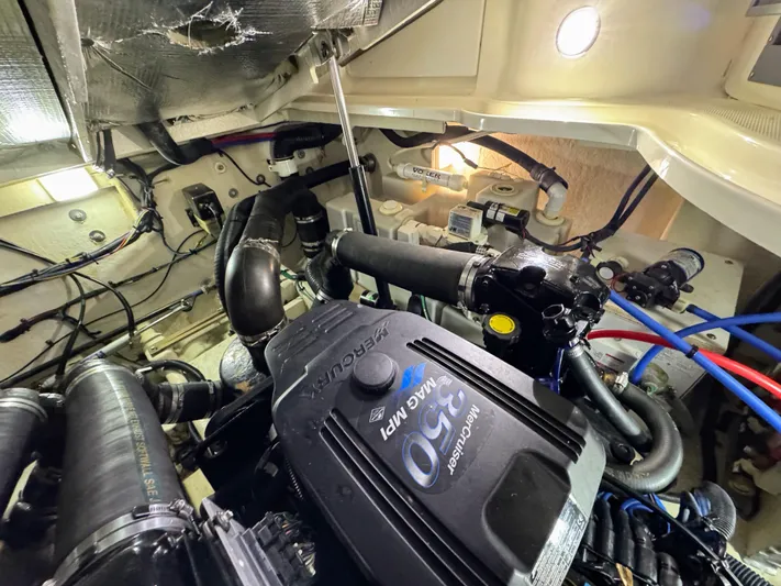 Summer State Yacht Photos Pics 