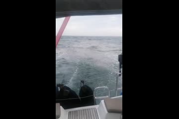 Video Placeholder
