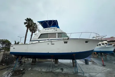 Bertram 38III Convertible