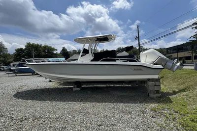 Boston Whaler 250 Dauntless