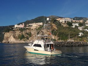 Viking 50 Conv Sport Fisher