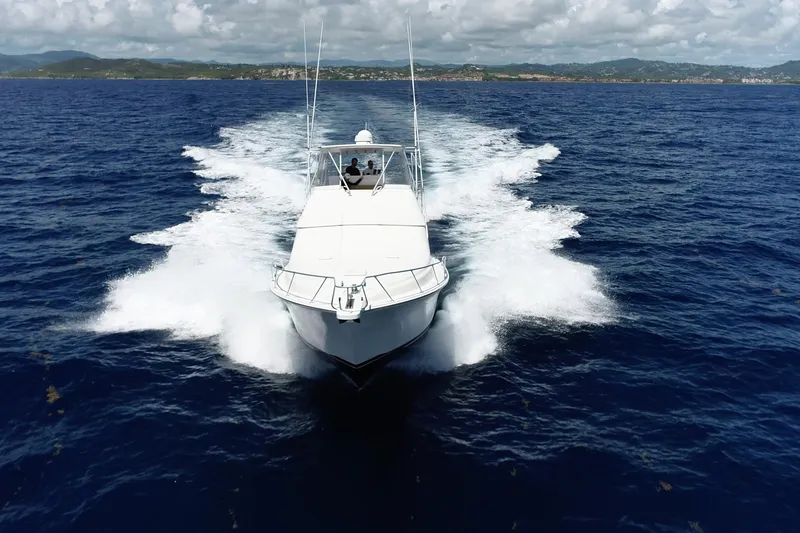 Dream On Yacht Photos Pics 2005 Bertram 450 yacht cruising on open sea with scenic coastline backdrop.