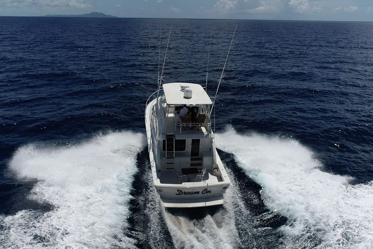 2005 Bertram 45 