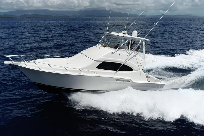 Dream On Yacht Photos Pics 2005 Bertram 450 yacht cruising on open ocean with mountainous backdrop.