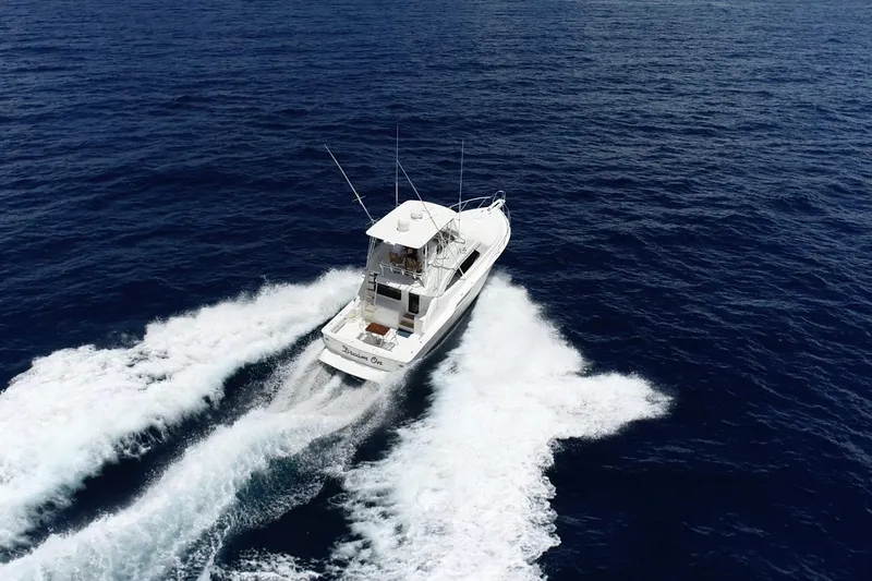 Dream On Yacht Photos Pics Aerial view of 2005 Bertram 450 yacht cruising on open ocean waters.