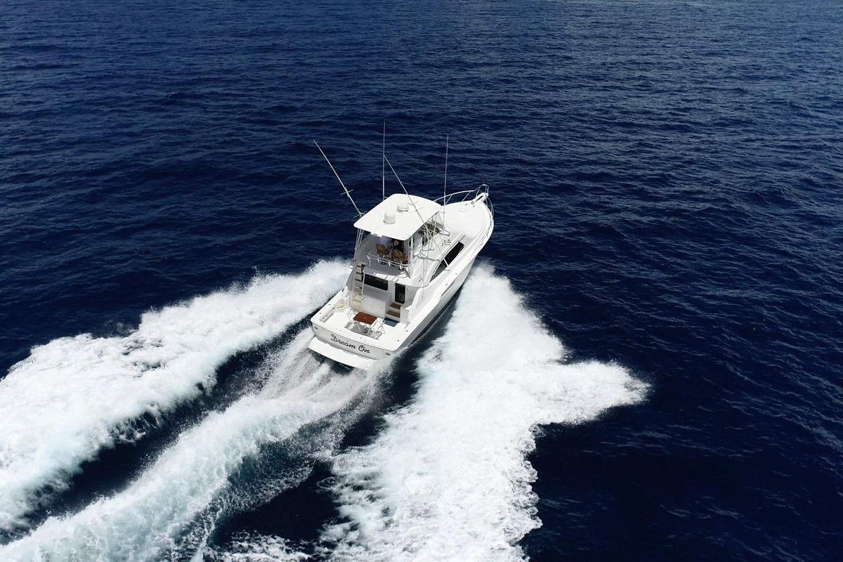 2005 Bertram 45 