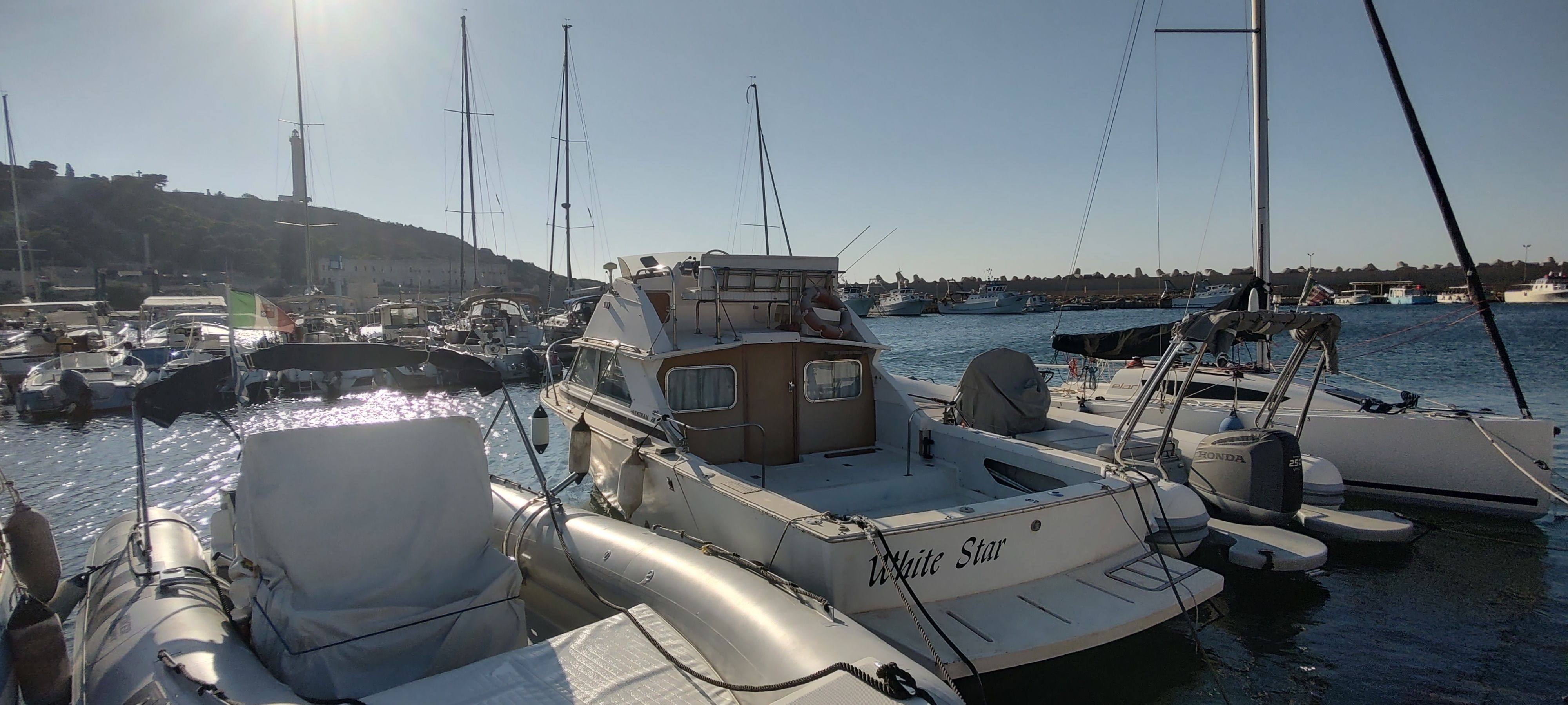 1974 Bertram Bertram 28 Flybridge Cruiser