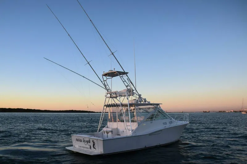 Never Again VII Yacht Photos Pics 2006 Cabo 35 Express boat on water at sunset, featuring fishing rods and clear sky.