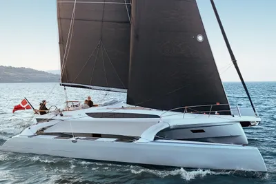 Dragonfly 36