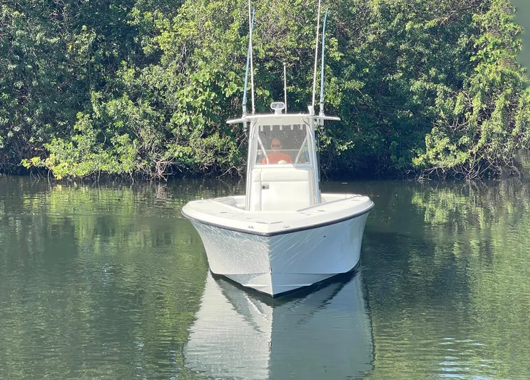 Momsea Yacht Photos Pics 