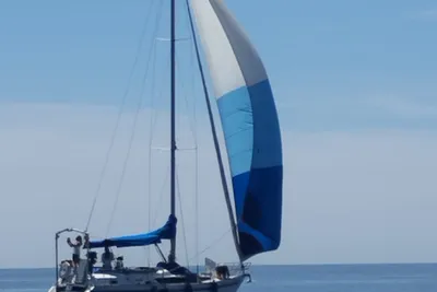 1988 Puma Puma 37 MV Future