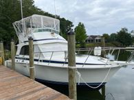 1985 Bertram 33 Flybridge Cruiser