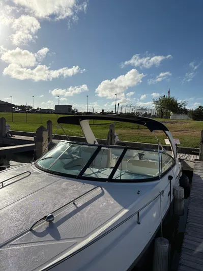 Our Last One Yacht Photos Pics 