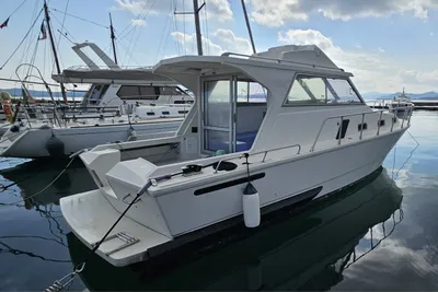 1988 Raffaelli Regal fly