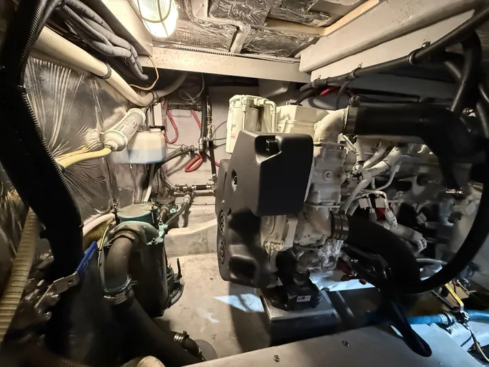 Diamonds Wild Yacht Photos Pics 