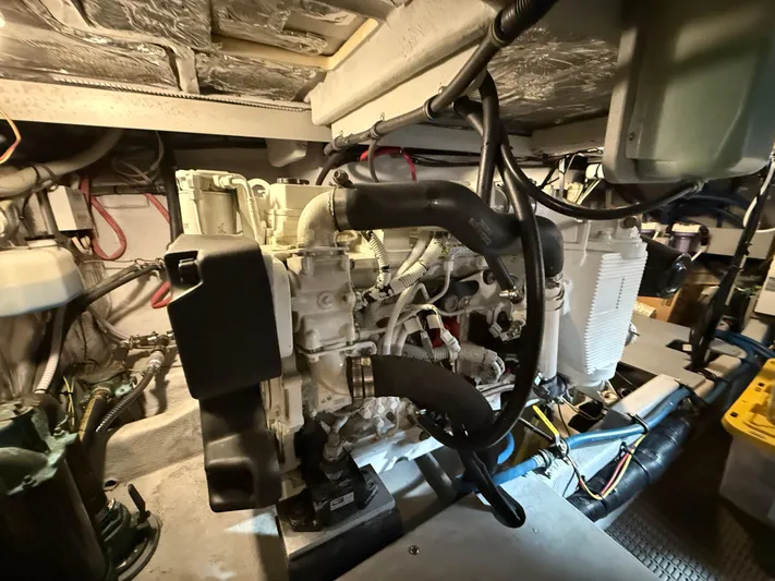 Diamonds Wild Yacht Photos Pics 