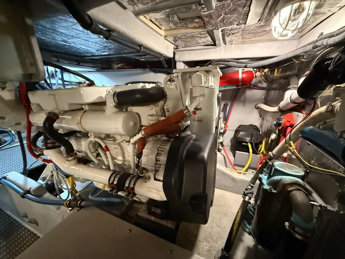 Diamonds Wild Yacht Photos Pics 