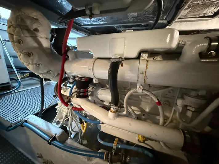 Diamonds Wild Yacht Photos Pics 