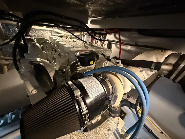 Diamonds Wild Yacht Photos Pics 