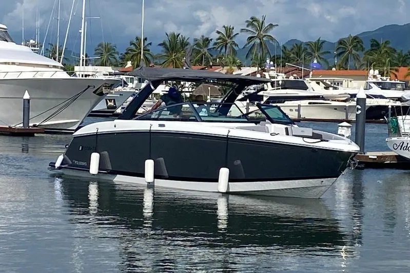 Casa - 2023 Cobalt R33 Ob @ Vallarta Yacht Photos Pics 2023 Cobalt R33 Outboard boat docked in a marina with palm trees.