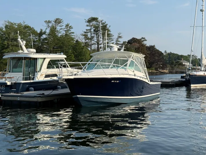 Club Car Yacht Photos Pics 1999 Cabo 31 Express boat docked in a serene marina setting.