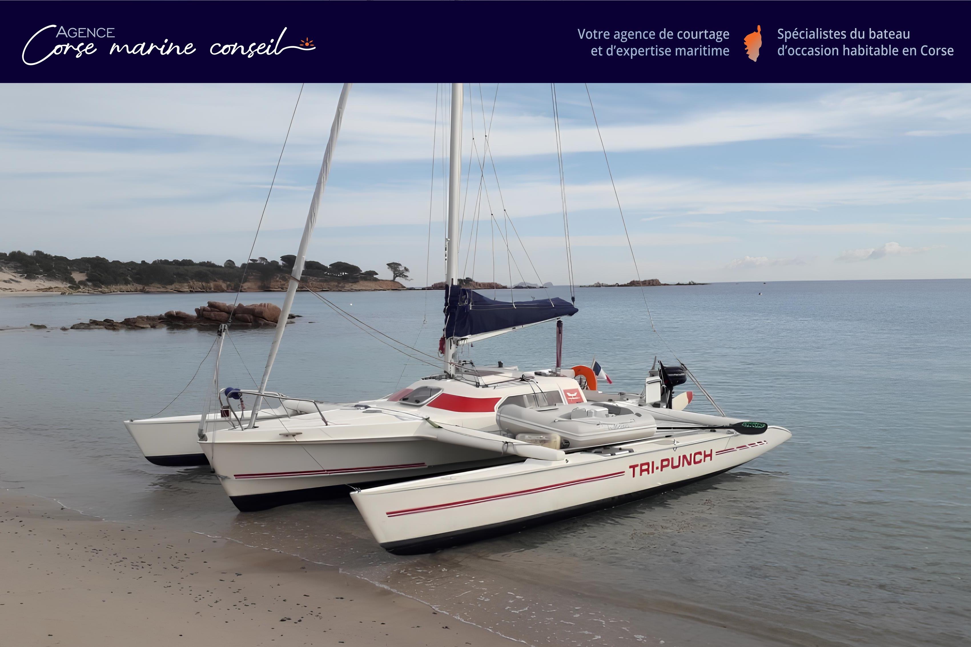 1994 Dragonfly dragonfly 800