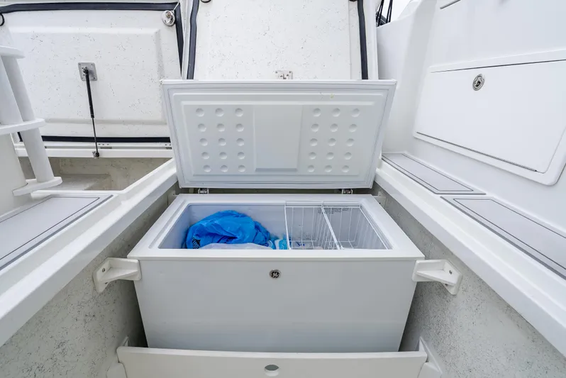  Yacht Photos Pics Open storage compartment on 2018 Lindell 46 F boat with blue bag inside.