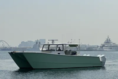 SilverCAT 40CC