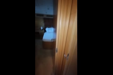 Video Placeholder