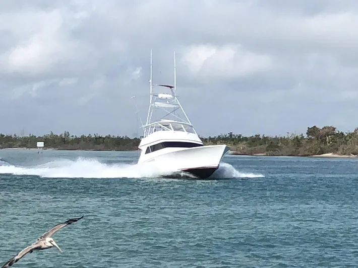 Red Witch Yacht Photos Pics 