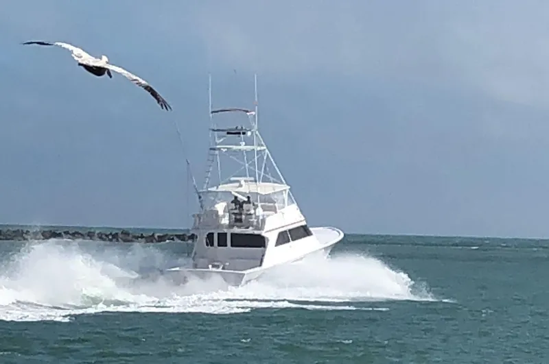 Red Witch Yacht Photos Pics 