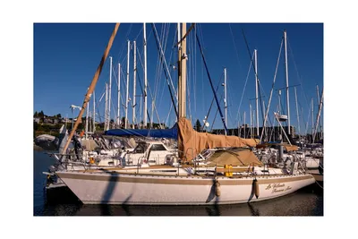Wauquiez Centurion 45